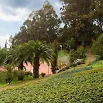 Hotel Bio - Quinta Da Serra Câmara de Lobos