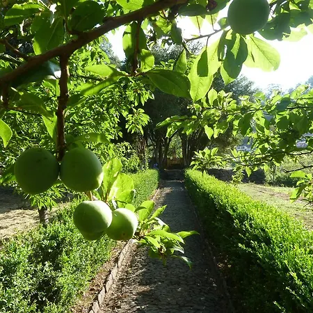 Bio - Quinta Da Serra