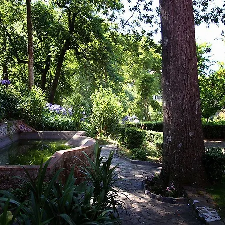 Bio - Quinta Da Serra Hotell 5*