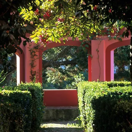 Hotell Bio - Quinta Da Serra Câmara de Lobos