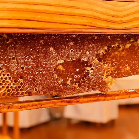 Bio - Quinta Da Serra Отель Камара-де-Лобуш