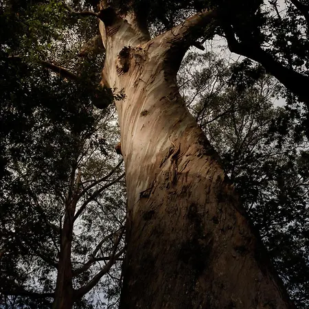 Bio - Quinta Da Serra Отель Камара-де-Лобуш