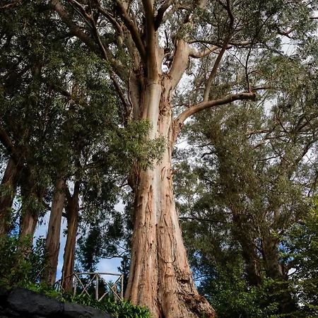 Отель Bio - Quinta Da Serra 5*