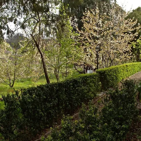 Bio - Quinta Da Serra Câmara de Lobos