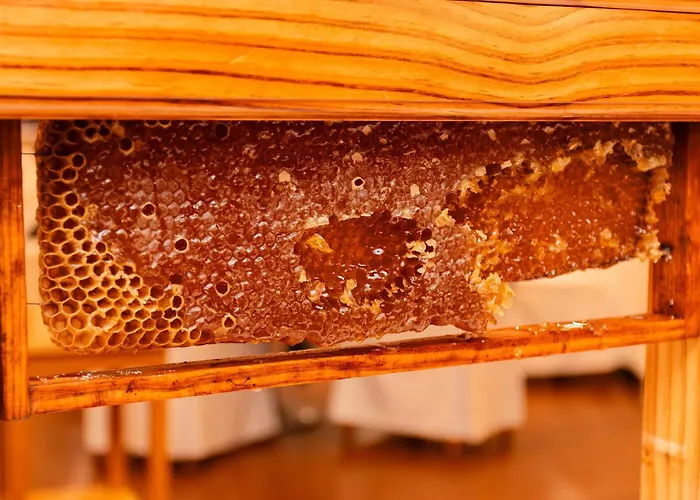 Bio - Quinta Da Serra Hotel Camara de Lobos