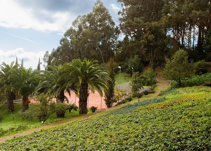 Hotel Bio - Quinta Da Serra Camara de Lobos